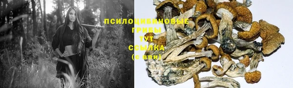 синтетический гашиш Новодвинск