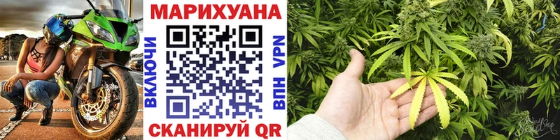 Бошки Шишки гибрид  Полевской 